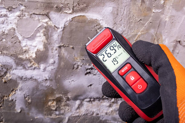 Best Local Mold Removal Service  in Watervliet, MI