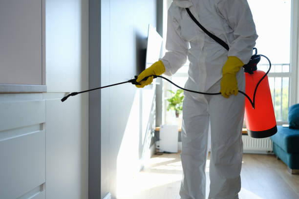 Certified Mold Removal in Watervliet, MI